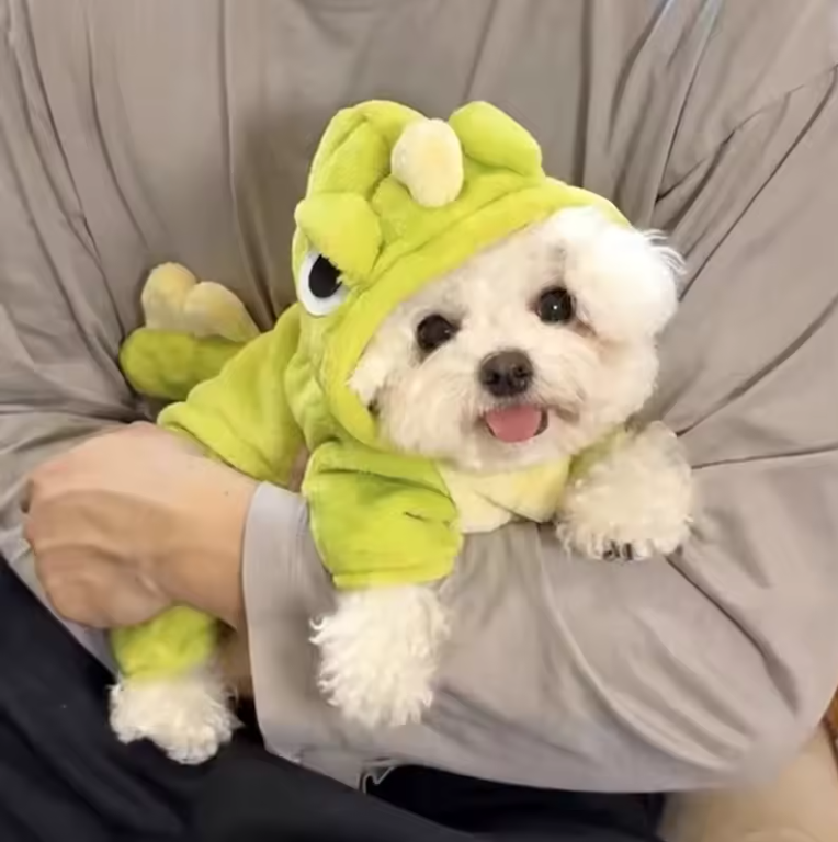 Rex Roar Costume - Dinosaur