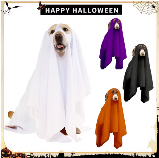 Boo Buddy Costume - Ghost