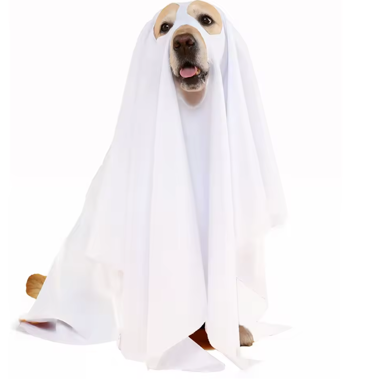 Boo Buddy Costume - Ghost