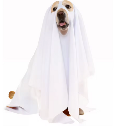 Boo Buddy Costume - Ghost