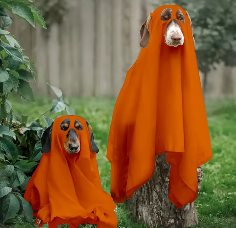 Boo Buddy Costume - Ghost