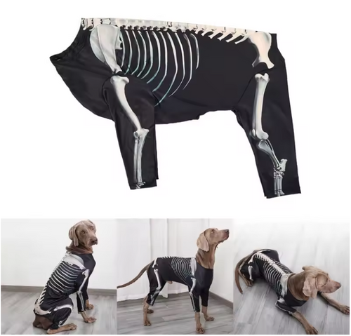 Halloween Party Costume Hooded T-Shirt Dog Photo Clothes Skeleton Sweater