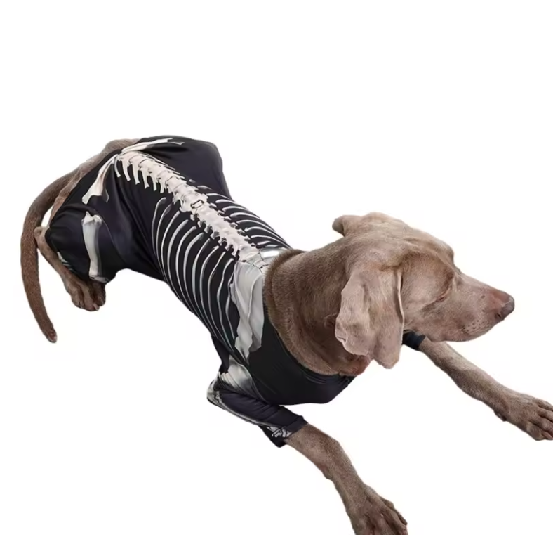 Halloween Party Costume Hooded T-Shirt Dog Photo Clothes Skeleton Sweater