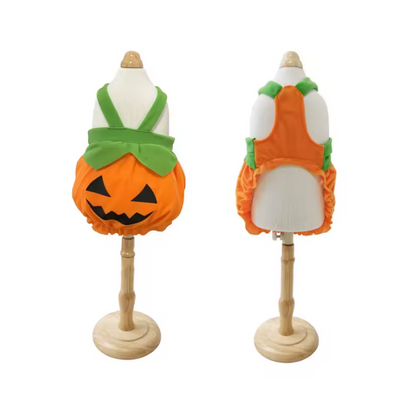Pumpkin Pup Costume