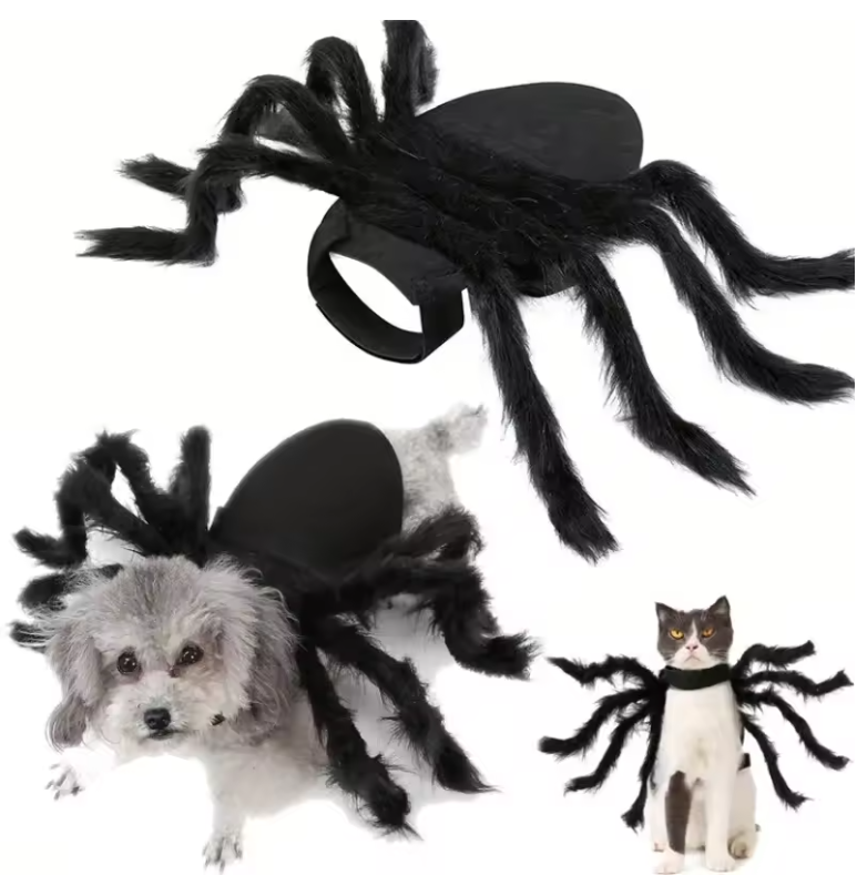 Creepy Crawler Costume - Spider