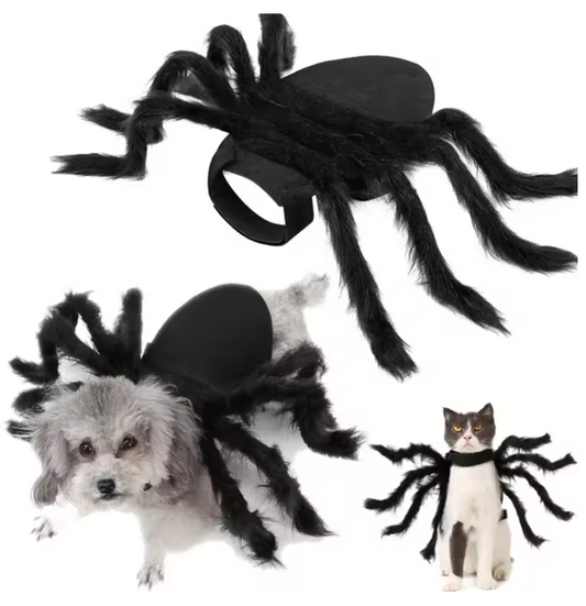 Creepy Crawler Costume - Spider