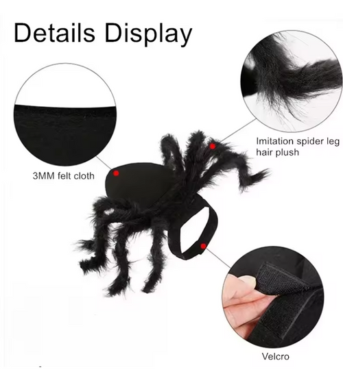 Creepy Crawler Costume - Spider