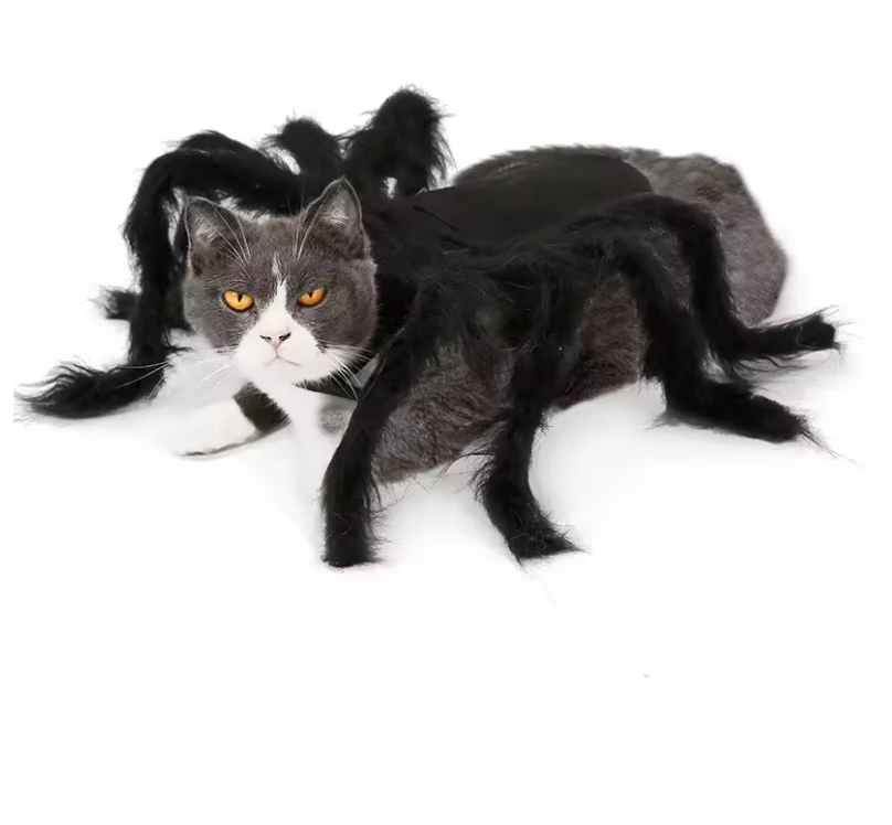 Creepy Crawler Costume - Spider