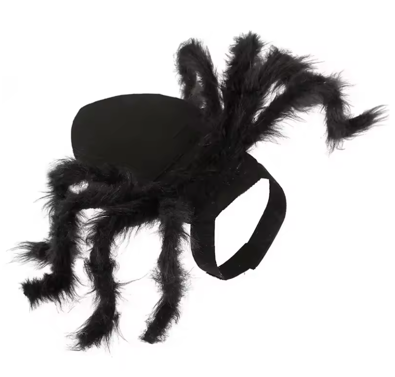 Creepy Crawler Costume - Spider