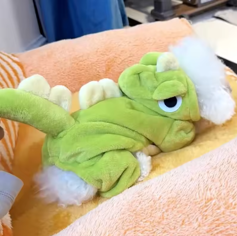 Rex Roar Costume - Dinosaur