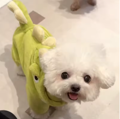Rex Roar Costume - Dinosaur